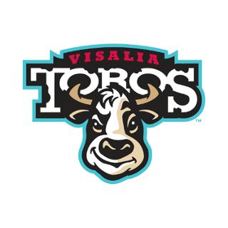 Toros de Visalia