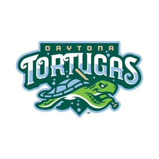 Tortugas de Daytona