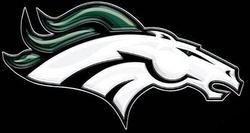 Kennesaw Mountain Mustangs