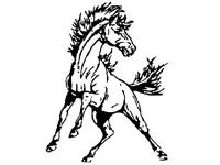 Flinthills Mustangs