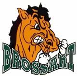 Bishop Brossart Mustangs