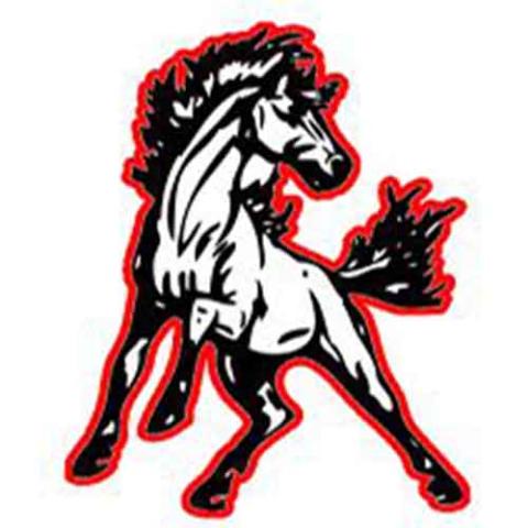 North Pemiscot Mustangs