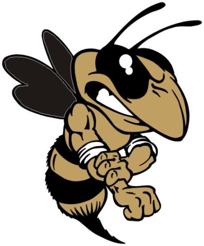 Sprayberry Yellow Jackets