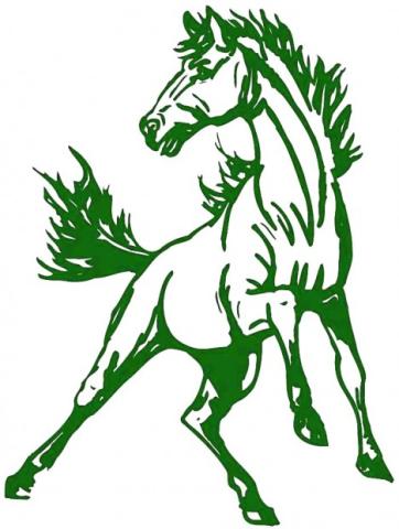 West Perry Mustangs