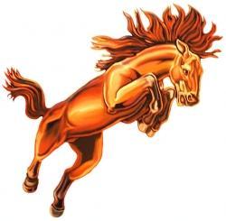 Natrona County Mustangs