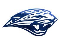 Mill Valley Jaguars