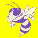 Avondale Yellow Jackets