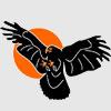 Viroqua Blackhawks