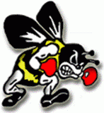 Brecksville-Broadview Heights Bees