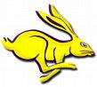 Mesa Jackrabbits