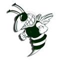 Woodstock Union Wasps