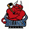 Billings Bulls