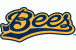 Burlington Bees