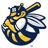 Burlington Bees