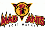 Fort Wayne Mad Ants