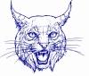 Gallatin County Wildcats