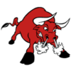 Tucson Toros