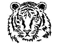 St. John Tigers