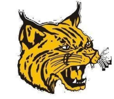 Cassville Wildcats