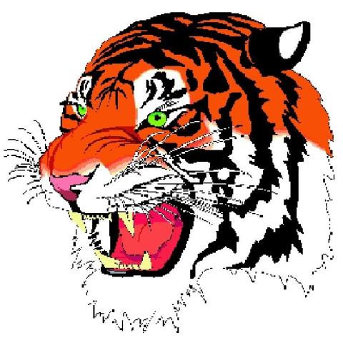 Lake City Tigers