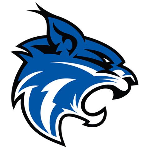 Harrisonville Wildcats