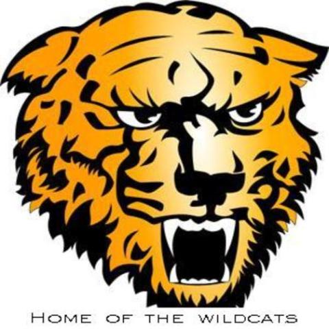 Summersville Wildcats