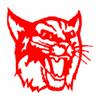 Hillsboro-Deering Hillcats