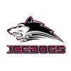 Bozeman Icedogs