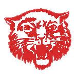 Delphos Jefferson Wildcats