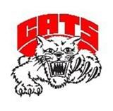 Struthers Wildcats