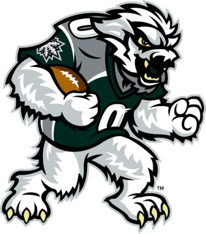 Green Bay Blizzard