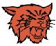 Greater Latrobe Wildcats