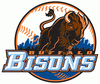 Buffalo Bisons