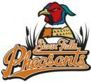 Sioux Falls Pheasants