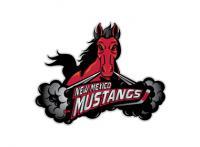 New Mexico Mustangs