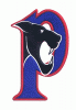 Penticton Panthers