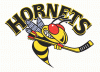 Langley Hornets