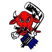 Billings Bulls