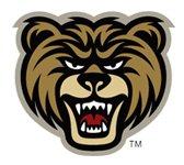 Mountain View Bears