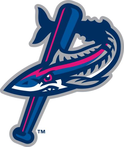 Pensacola Blue Wahoos