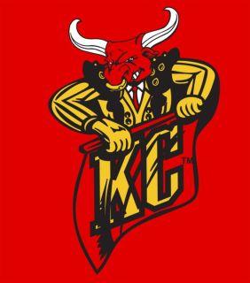 Kansas City Matadors