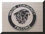 Wayne Falcons