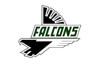 Faribault Falcons