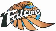 Foley Falcons