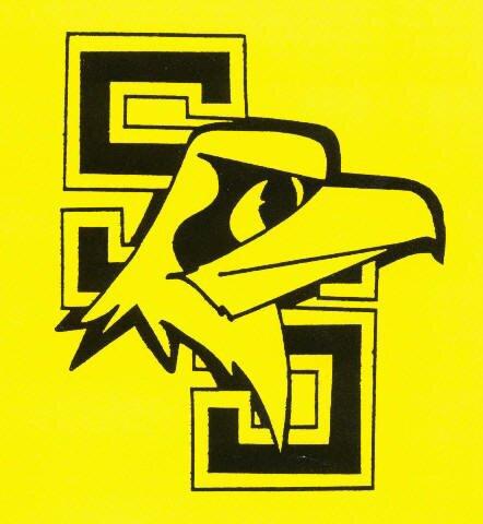 South Seneca Falcons