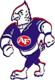 Austintown Fitch Falcons