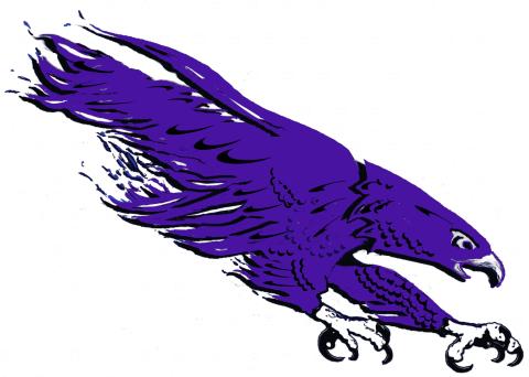 Darlington Falcons