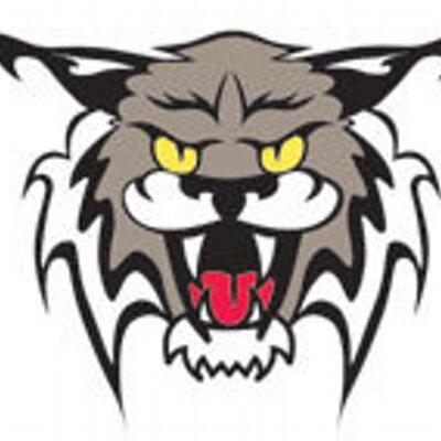 New Hampshire Technical Institute Lynx