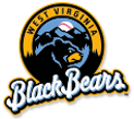 West Virginia Black Bears