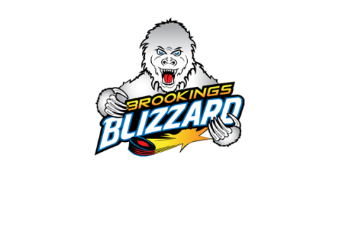 Brookings Blizzard